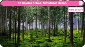 Read more about the article ID Sakura School Simulator Hutan Sakura, Cek ID nya disini